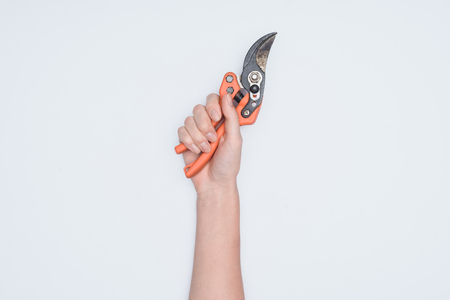 cropped shot of woman holding cutting pliers isolated on whiteの写真素材