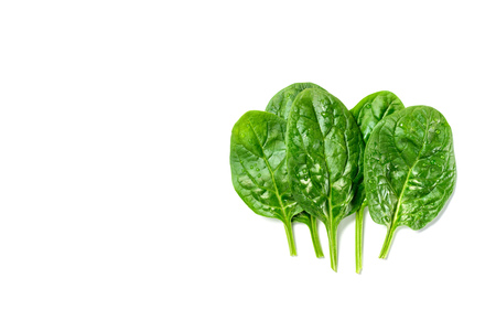 Top view of wet fresh  spinach leaves isolated on whiteの写真素材