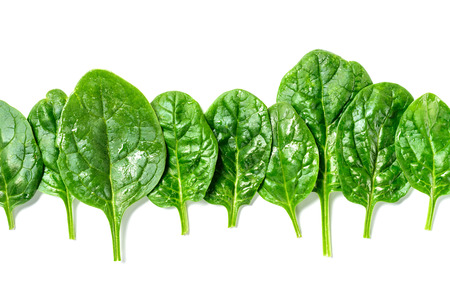 Top view of wet green spinach leaves with water drops isolated on white