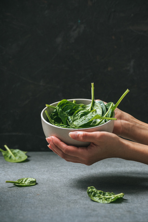Female hands holding spinach leaves in white bowlの写真素材