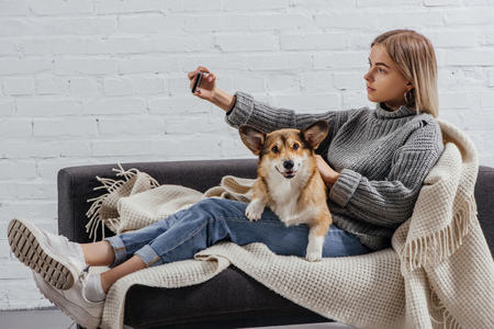 beautiful girl taking selfie with corgi dog on sofaの写真素材