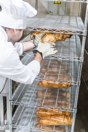 Male chef taking out fresh bread in gloves