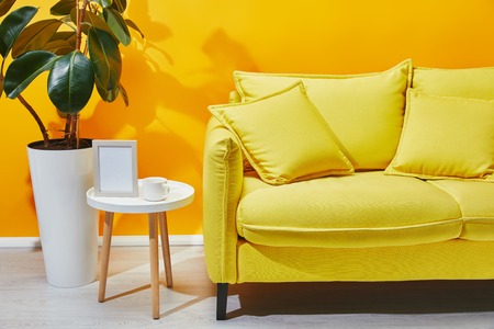 Sofa, ficus and little table with photo frame and cup of coffee near yellow wall