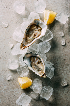 top view of oysters, cut lemon and ice cubes on grey tabletopの写真素材