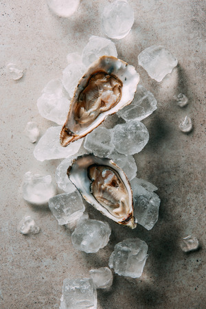 top view of oysters and ice cubes on grey tabletopの写真素材