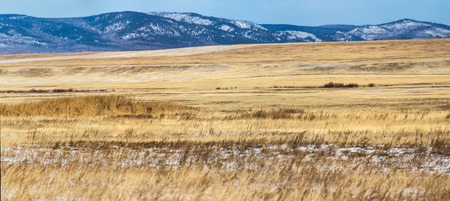 beautiful landscape with dry grass and snow capped mountains, krasnoyarsk region, russiaの写真素材