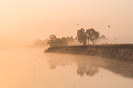 beautiful landscape with lake and shore at misty sunrise, polesie, pripyatの写真素材