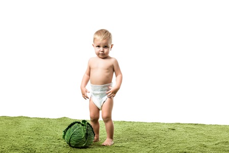 Toddler boy standing on green carpet near big cabbage isolated on whiteの写真素材