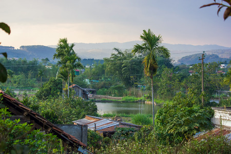 Beautiful green tropical plants and rooftops with mountains behind, Vietnam, Dalat regionの写真素材