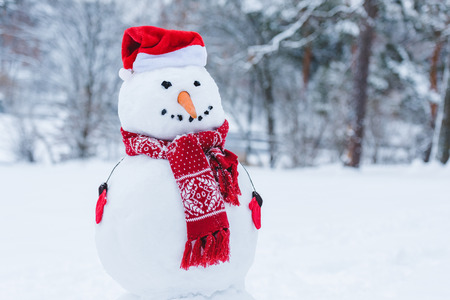 close up view of snowman in santa hat, scarf and mittens i winter parkの写真素材