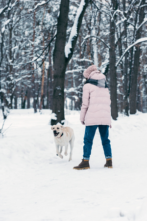 back view of woman with labrador dog in winter parkの写真素材
