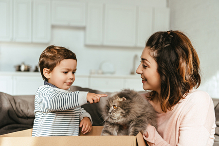 little boy pointing by finger at british longhair cat in mother handsの写真素材