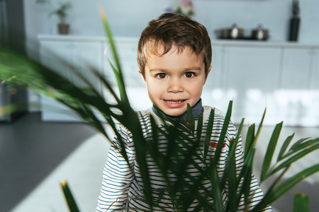 selective focus of adorable little boy looking at camera near green houseplant at home