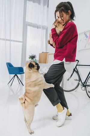 Attractive young girl playing with pugs in stylish roomの写真素材