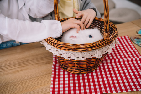 cropped shot of kids playing with rabbit in basketの写真素材