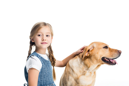 adorable child with golden retriever dog, isolated on whiteの写真素材