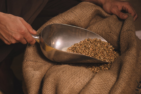 partial view of worker gathering coffee beans with metal scoop from sack bagの写真素材