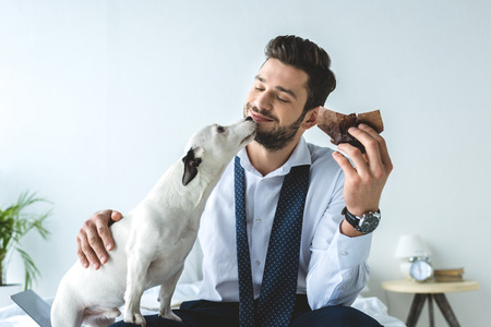 businessman eating muffin and sitting on bed with jack russell terrierの写真素材