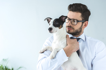 bearded businessman holding jack russell terrier dogの写真素材