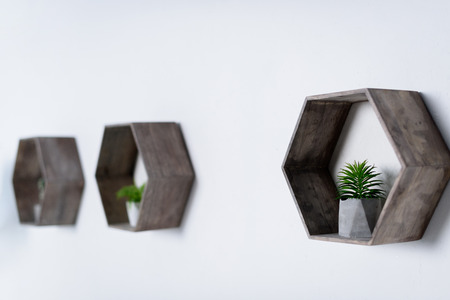 potted green plants on wooden shelves on wall