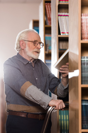grey hair librarian looking at book in handの写真素材