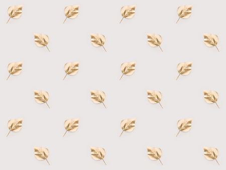 full frame of set of arranged golden leaves isolated on pinkの写真素材