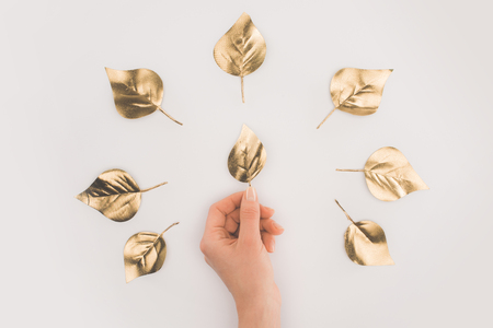 partial view of female hand and arranged golden leaves isolated on greyの写真素材