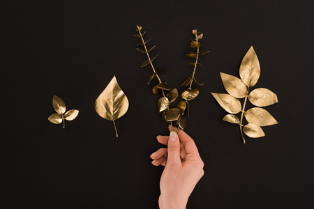 cropped shot of female hand and arranged golden plants isolated on blackの写真素材
