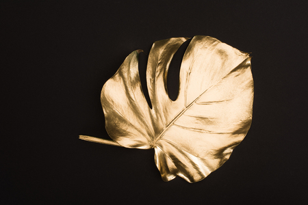 close up view of shiny big golden leaf isolated on blackの写真素材