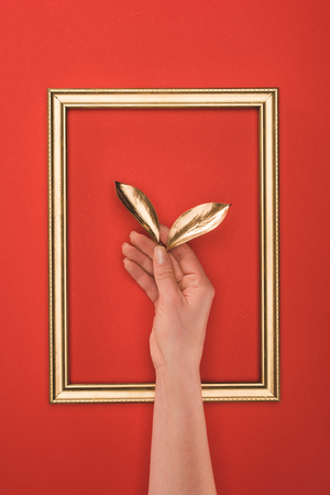 partial view of photo frame and female hand holding golden leaves isolated on red