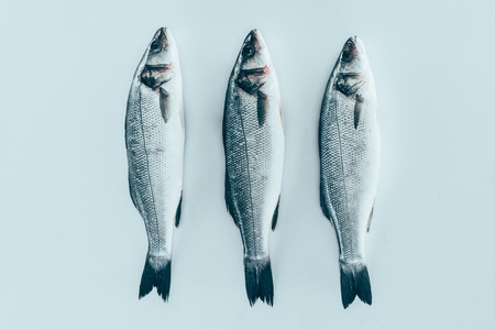 close-up view of raw fresh healthy sea bass fish isolated on greyの写真素材