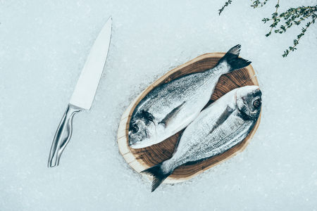 top view of fresh raw dorado fish on wooden board and knife on iceの写真素材