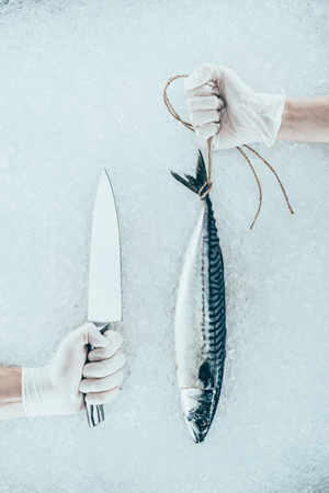 cropped shot of hands in gloves with knife and raw mackerel with ropeの写真素材