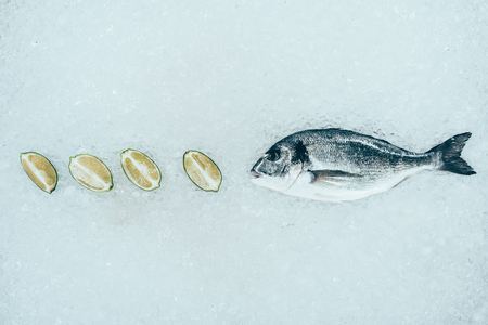 close-up view of healthy raw dorado fish and lime slices on iceの写真素材