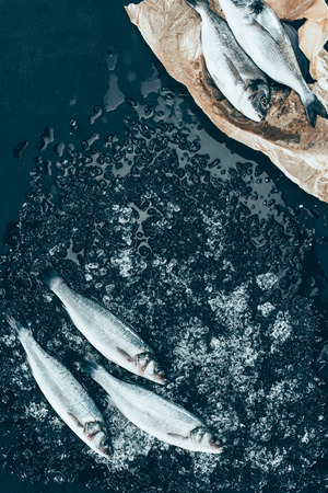 top view of healthy uncooked sea bass fish with ice and salmon on paper on blackの写真素材