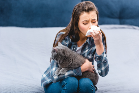 girl with allergy holding facial tissue and british shorthair cat at homeの写真素材