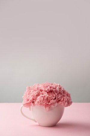 white cup with beautiful tender pink carnation flowers on greyの写真素材