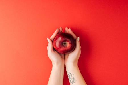 top view of tattooed female hands holding ripe large apple on red backgroundの写真素材
