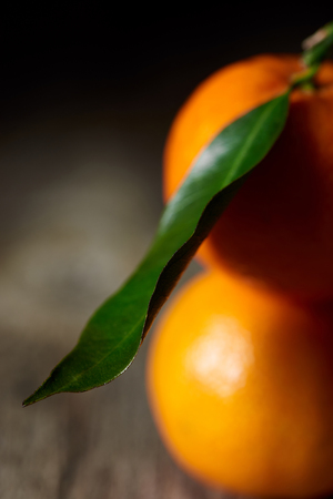 selective focus of green leaf on organic tangerineの写真素材