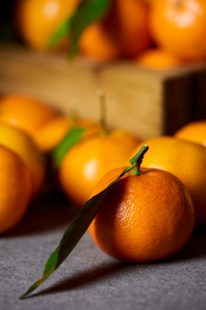 selective focus of orange clementine near tangerines with green leavesの写真素材