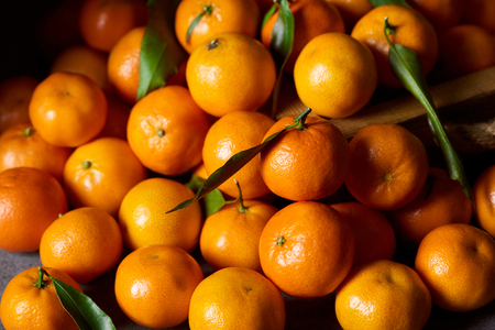 selective focus of sweet tangerines with green leavesの写真素材