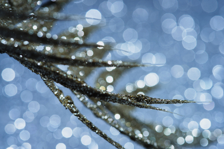 selective focus of festive branch decorated by golden glitter, christmas background conceptの写真素材