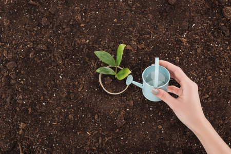 cropped view of woman watering plant in pot, protecting nature conceptの写真素材