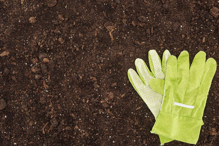 top view of gloves lying on ground, protecting nature conceptの写真素材