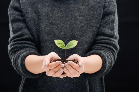 cropped view of woman holding ground with green leaves in hands isolated on blackの写真素材
