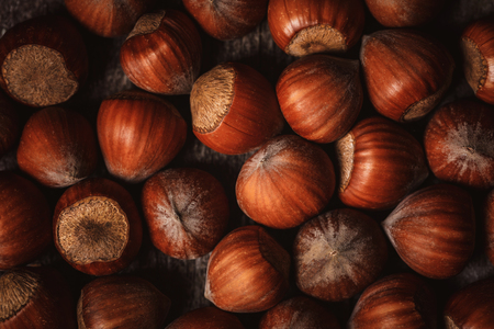 full frame of shelled hazelnuts as backdropの写真素材