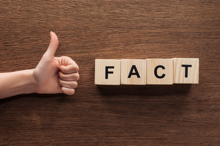 Cropped image of journalist showing thumb up to wooden cubes with word fact at wooden tableの写真素材