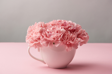 close-up view of beautiful pink carnation flowers in cup on greyの写真素材
