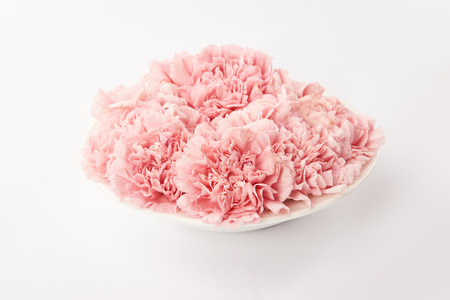 Pink carnations flowers in round plate on white backgroundの写真素材
