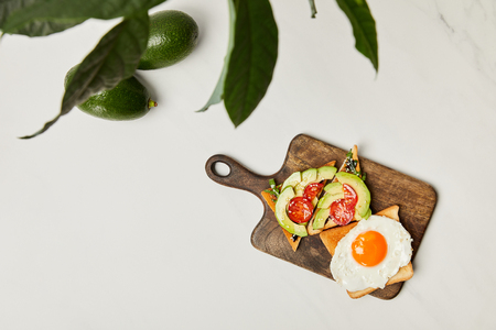 top view of wooden cutting board with toasts, scrambled egg and avocados under green plant on marble surfaceの写真素材
